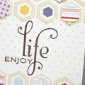 Supplies

Stamps: Happy Hexagons, Think Big Favorites #17, Rosie Posie, Polka Dot basics
Ink: Plum Pudding, Fine Linen, Pure Poppy, Summer Sunrise, Spring Rain, Dark Chocolate
Cardstock:...