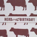 CowBday