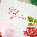 Supplies

Stamps: The Sweet Life, Background Basics: Boards & Beams
Ink: Pure Poppy, Fine Linen, Berry Sorbet, Sweet Blush, Simply Chartreuse, New Leaf
Cardstock: Vintage Cream, Rustic White...
