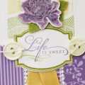 Life is Sweet Card