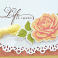 Supplies
All supplies Papertrey Ink unless otherwise noted.
Stamps: Life is Sweet;
Colors: Lemon Tart, Melon Berry, Berry Sorbet, Simply Chartreuse, Dark Chocolate, White; Landscape ink...