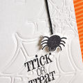 Trick or Treat Detail