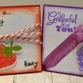 Lunchbox - 3 Girl JAM Bows (2)