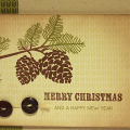 Pinecones for Christmas Card
