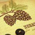 Pinecones for Christmas Card - detail