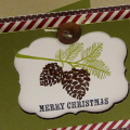 Merry Christmas Pinecone card