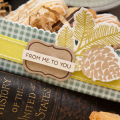 Supplies

Cardstock: Kraft, White
Patterned Paper: Ocean Tides
Stamps: Peaceful Pinecones, Friendship Jar
Ink: Dark Chocolate, Fine Linen, Simply Chartreuse
Dies: Peaceful Pinecones, Favor...