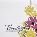 Greetings of the Season Card
