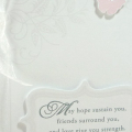 Supplies
All supplies Papertrey Ink unless otherwise noted.
Stamps: With Sympathy, Fillable Frames Additions 1 (PTI);
Colors: White (PTI); Pink Pirouette (SU); Gray Flannel (Memento);
Other:...
