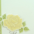 Supplies
All supplies Papertrey Ink unless otherwise noted.
Stamps: The Sweet Life, Botanical Silhouettes;
Colors: Vanilla, Lemon Tart, Harvest Gold, Fine Linen, Spring Moss, Avocado (old ink),...
