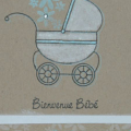 DSC_0074-baby card-
