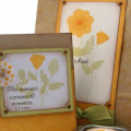 California Poppy Gift set