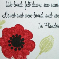 Amy Rysavy - In Flanders Fields Wall Art Coaster 3