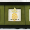 welcome pineapple frame (Custom)