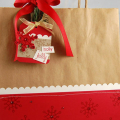 Christmas Gift Bag & Tag