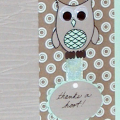 Thanks a Hoot.  The PP is from the DCWV Fall Stack and matches perfectly with Agua Mist.  I partnered it with a grey cs from my stash and Googlie Eyes from MLYB!  I love how this card turned out....