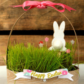 Bunny Basket