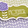 Mother card detail