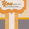 yellow gray banner sunshine 0313