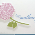 Supplies
All supplies Papertrey Ink unless otherwise noted.
Stamps: Happy Hydrangea;
Ink/Card Stock: Blueberry Sky, White, Lavender Moon; Pear Pizzazz (SU);
Other: Herringbone impression...