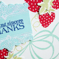 Sending Sincere Thanks card