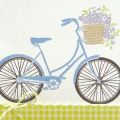 Supplies
All supplies Papertrey Ink unless otherwise noted.
Stamps: Pedal Pusher;
Ink/Card Stock: Blueberry Sky, White, Wisteria, Limeade, Black;
Other: Limeade Patterns paper, Edgers #2 die;...