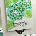Dear Friend
