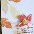 Your Kindness card