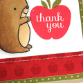 Thank You Squirrel Card - detail