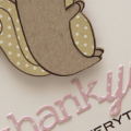 Supplies

Stamps: Nuts For You, Wonderful Words: Thank You
Ink: Dark Chocolate
Cardstock: Vintage Cream, Kraft
Patterned Paper: Fine Linen, Sweet Blush
Dies: Nuts For You, Wonderful Words:...