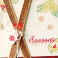 Seasons-skis