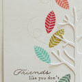 Friends Like You card