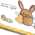 Some Bunny Loves You Card - detail