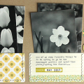 Spring Flowers Layout