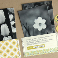 Spring Flowers Layout