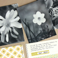 Spring Flowers Layout - detail
