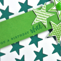 Birthday Star - Girl detail