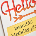 Beautiful Birthday Girl Card Detail