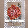 Birthday Rose Card