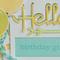 Hello Birthday Girl dtl