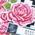 Supplies

Stamps: Initial Thoughts, Modern Cross Quilt, The Sweet Life
Ink: sweet blush, hibiscus burst, pure poppy, true black
Cardstock: true black, white, aqua mist
Dies: The Sweet Life,...