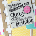 Summertime Fun Birthday card