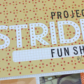 Project ASTRIDE Show Layout - detail