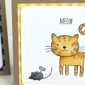 Orange Tabby Card