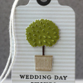 wedding wishes tag