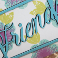 Supplies

Stamps: Friendly Flowers
Ink: Aqua Mist, Raspberry Fizz, Limeade Ice, Hawaiian Shores
Cardstock: White, Hawaiian Shores, True Black
Dies:Framed Friends