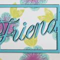 Supplies

Stamps: Friendly Flowers
Ink: Aqua Mist, Raspberry Fizz, Limeade Ice, Hawaiian Shores
Cardstock: White, Hawaiian Shores, True Black
Dies:Framed Friends