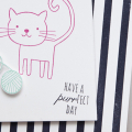 Supplies

Stamps: Cat's Meow, Super Stripes
Ink: True Black, Raspberry Fizz, Aqua Mist
Cardstock: White
Dies: Cat's Meow, Tipped Tops