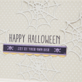 Supplies

Stamps: Haunted Borders, Keep It Simple: Halloween

Ink: True Black

Cardstock: Soft Stone, White, Winter Wisteria, Harvest Gold

Dies: Haunted Borders, Spider Web Trio...