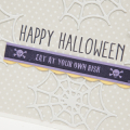Supplies

Stamps: Haunted Borders, Keep It Simple: Halloween

Ink: True Black

Cardstock: Soft Stone, White, Winter Wisteria, Harvest Gold

Dies: Haunted Borders, Spider Web Trio...